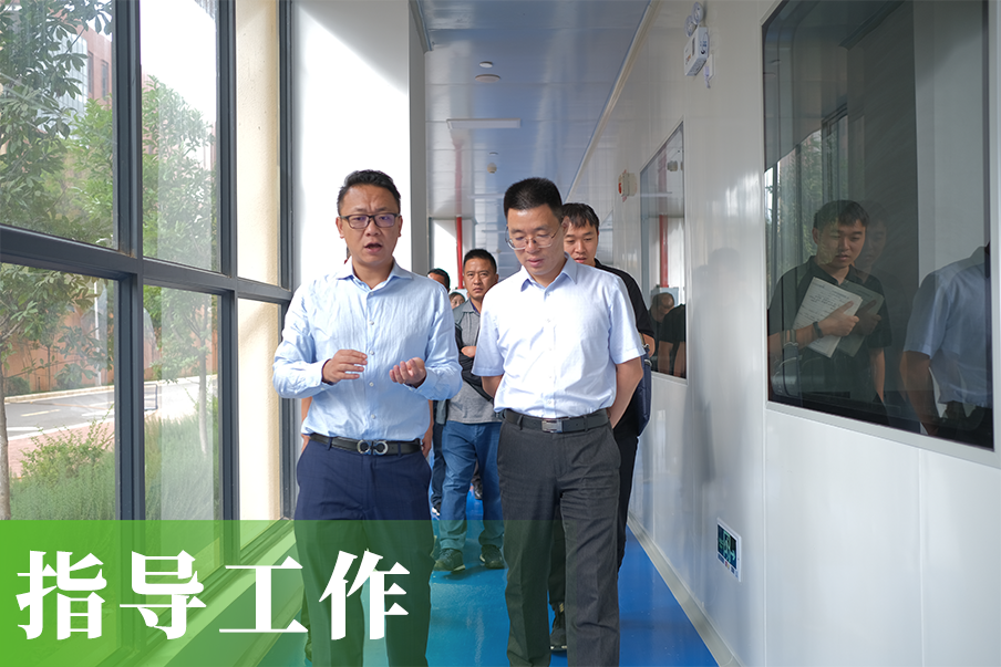 领导指导意见
