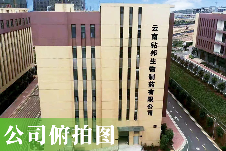 公司俯拍图